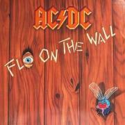 Acdc fly on the wall