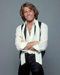 Andy gibb