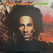 Bob marley natty dread