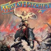 Molly hatchet beatin the odds