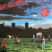 Mr mister welcome to the real world