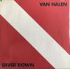 Van halen diver down