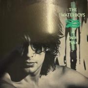 Waterboys