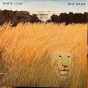 White lion big game