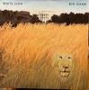 White lion big game